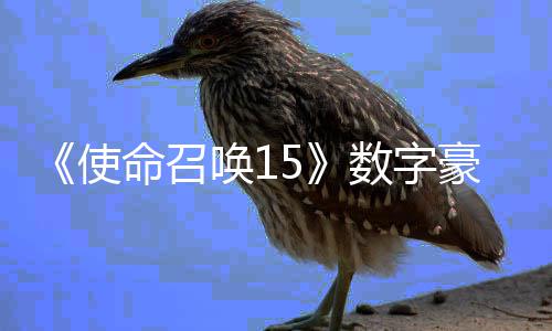 元命召版上加强架X价9唤1豪华使数字商城 售